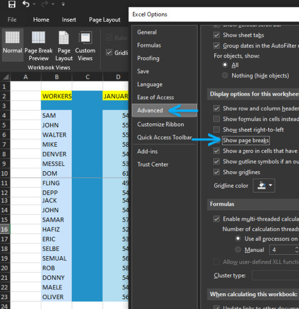 Show or Hide Page Break in Excel