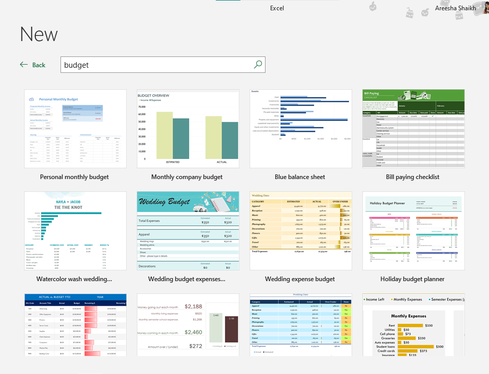 Budget In Excel