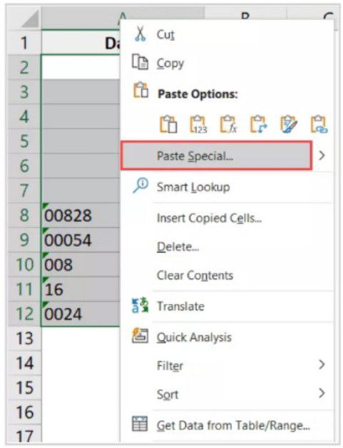 Special Paste Foramat in Excel
