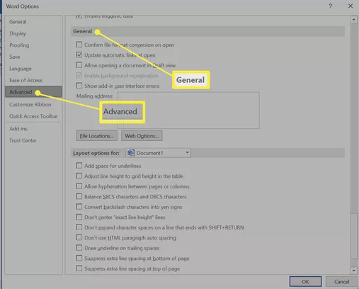 Advanced Option in Word