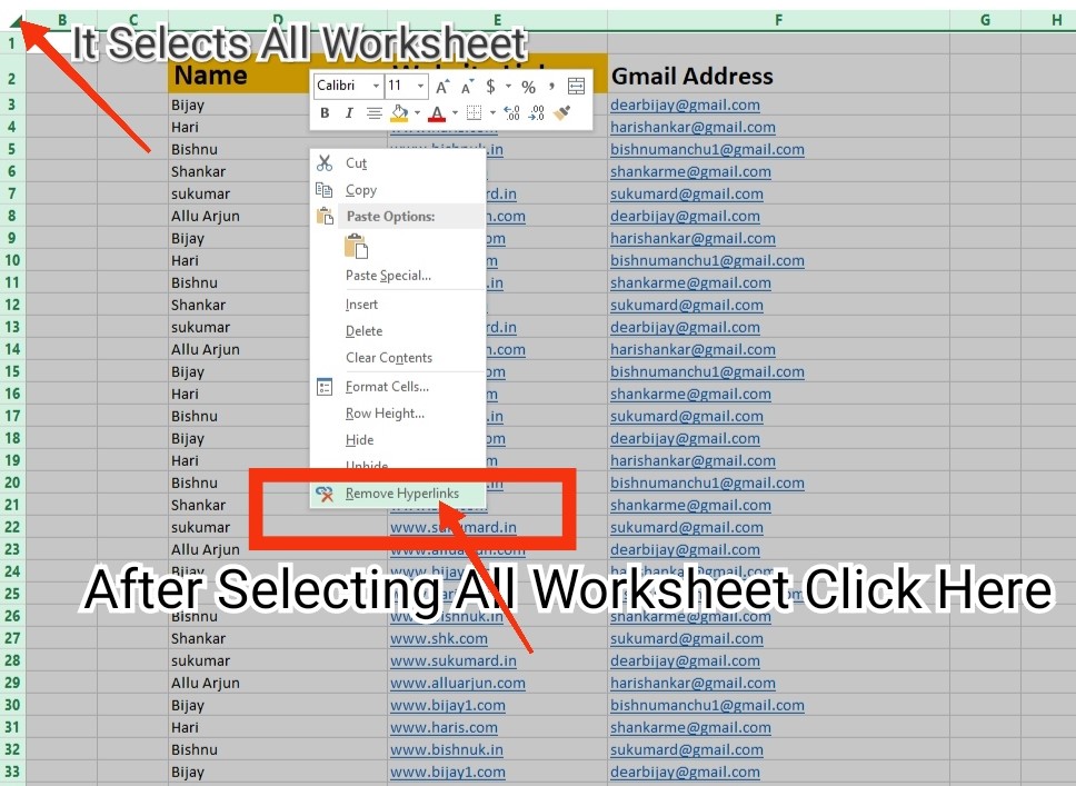 Remove all hyperlinks in an Excel sheet