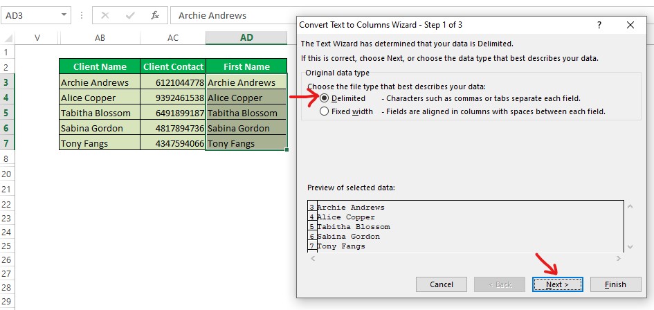 Choosing Delimited Option