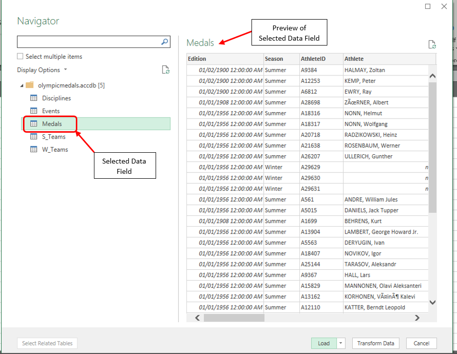 Preview of Selected Data Field