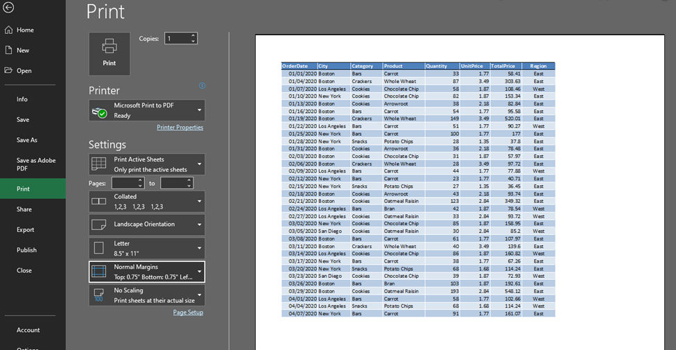 Print Preview Window